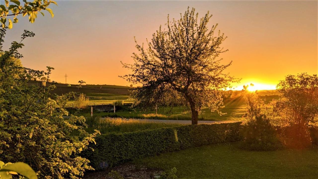 Pension Margaretenhof Bayerbach Екстер'єр фото