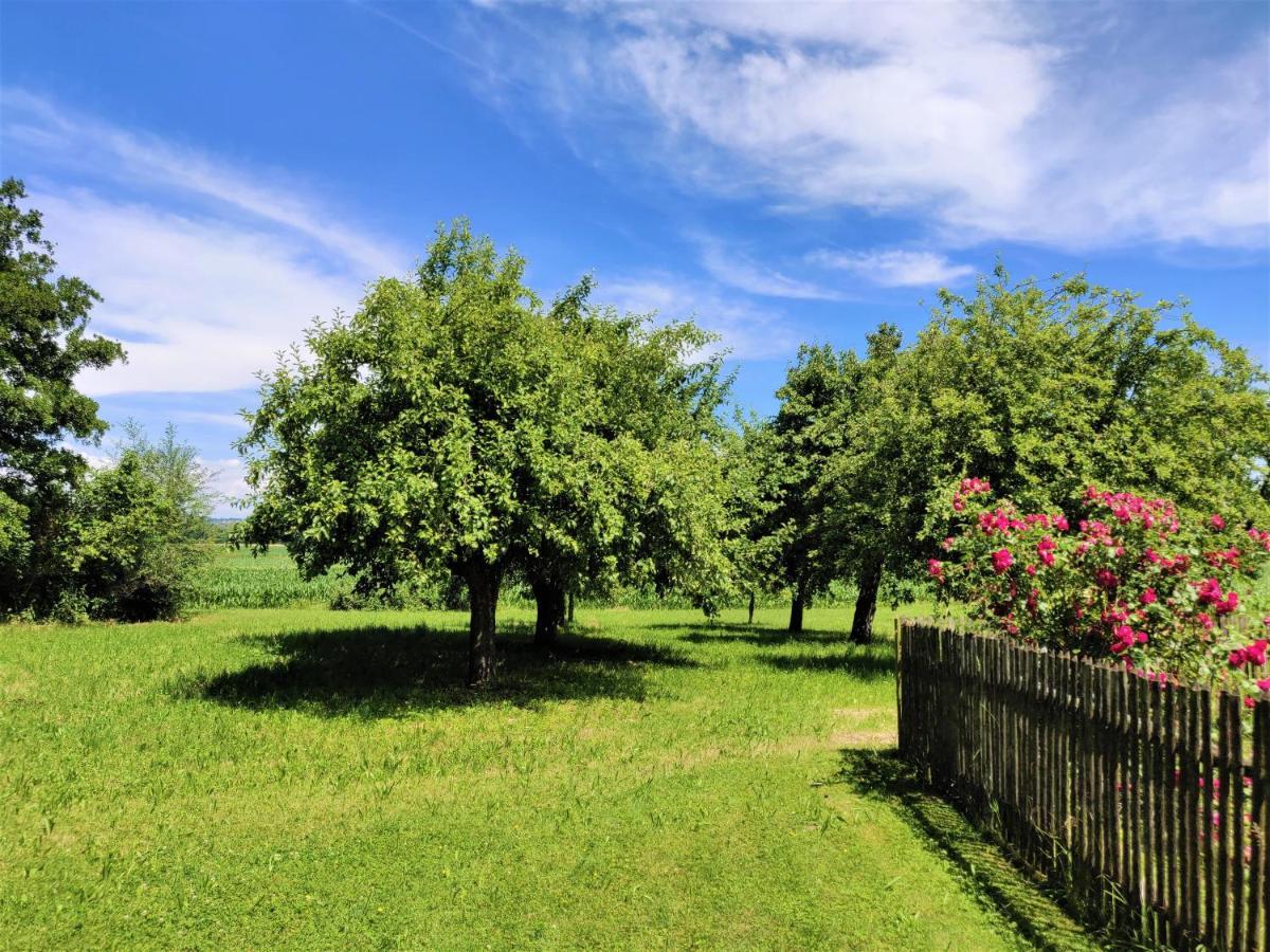 Pension Margaretenhof Bayerbach Екстер'єр фото